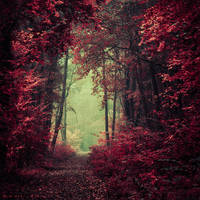 Reincarnate Now by Oer-Wout