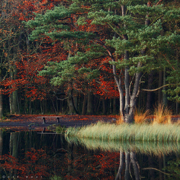 Where Forgotten Days Slumber by Oer-Wout