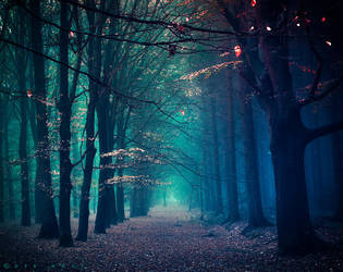 A Dream Upon Waking by Oer-Wout