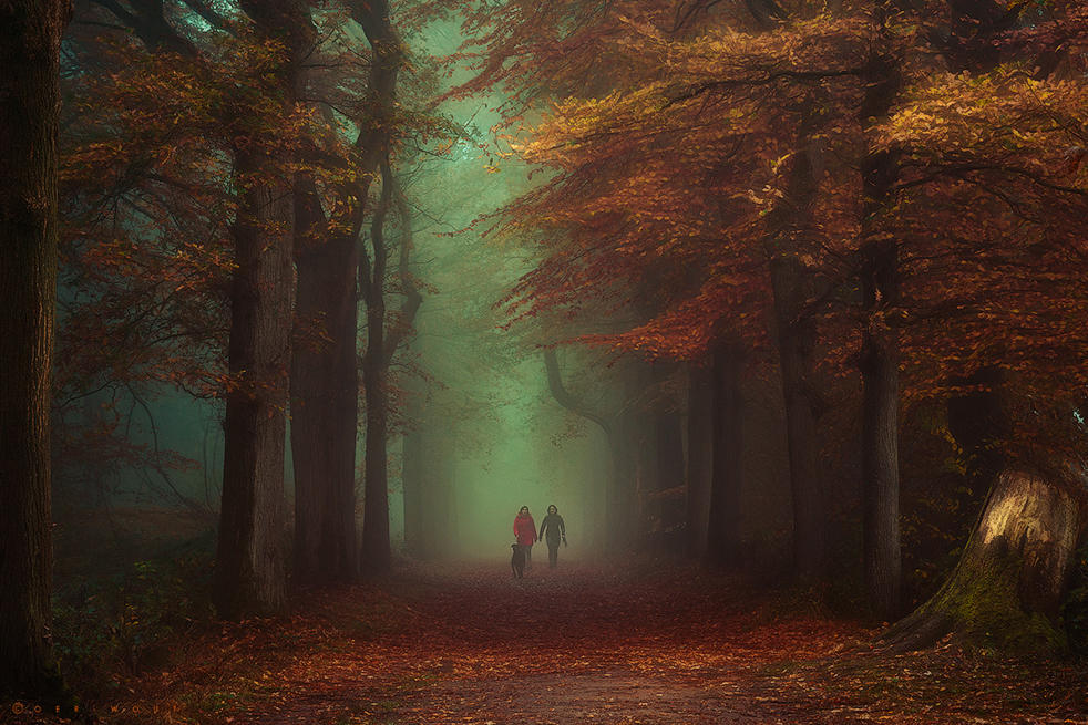 Autumn's leading the Way by Oer-Wout