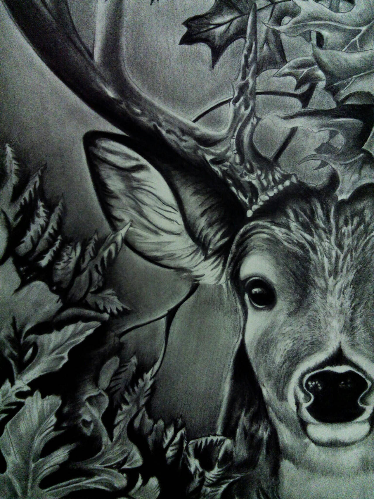 Fell like a deer in your lights by Swaroopashok