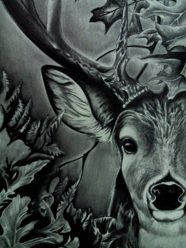 Fell like a deer in your lights by Swaroopashok