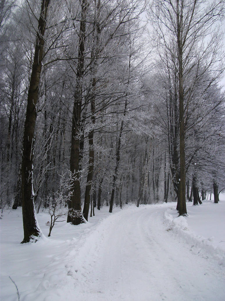 Winter 1 by feainne-stock