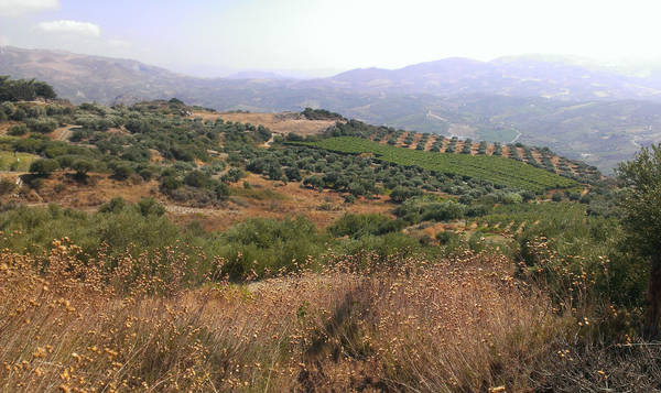 Crete - Land 1 by Gwathiell