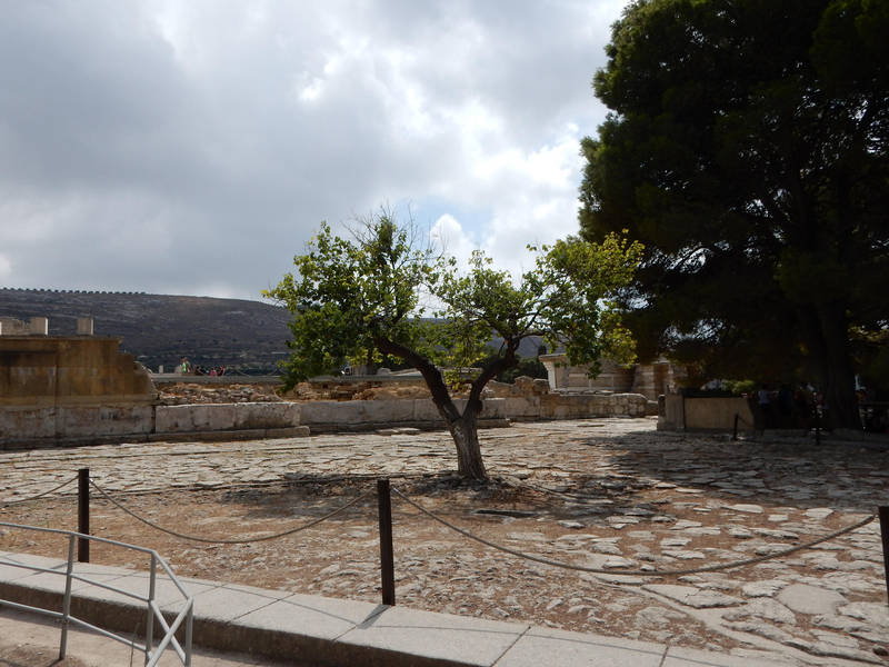 Crete - Tree in Knosos by Gwathiell