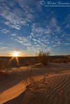Kalahari Desert Morning by MorkelErasmus