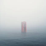 Lost in Translation by theflickerees