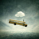 The Playground called Life by theflickerees