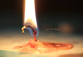 The Life of a Candle by me6o