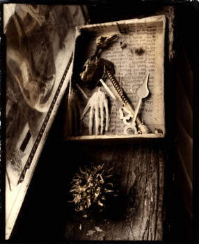 the mortality box by lauren-rabbit