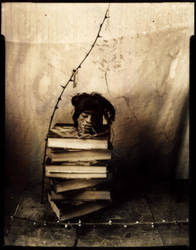 skeleton keys do not open all by lauren-rabbit