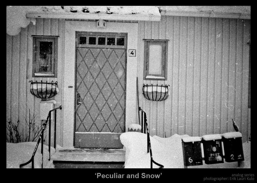 Peculiar and Snow by MrColon