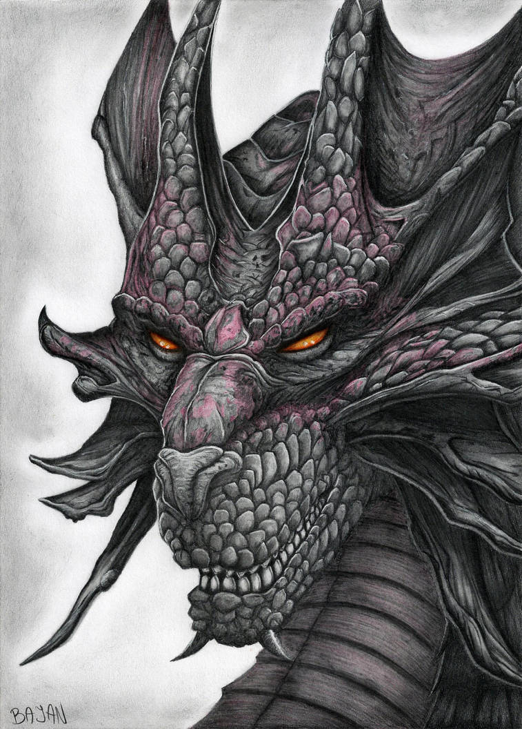 Dragon Drawing by Bajan-Art