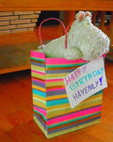 5.365 Look, i'm a present by Karmabella13