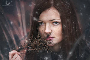 Falling Snow by Crims0nPhotography