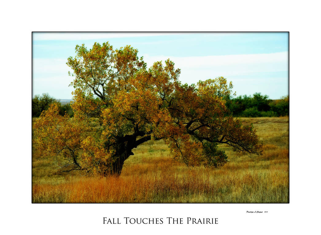 Fall Touches The Prairie by Pennes-from-Heaven