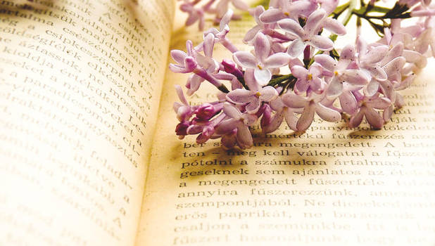 Spring feelings by Noncsi28