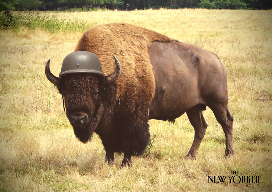 Buffalo Soldier by GeeeO