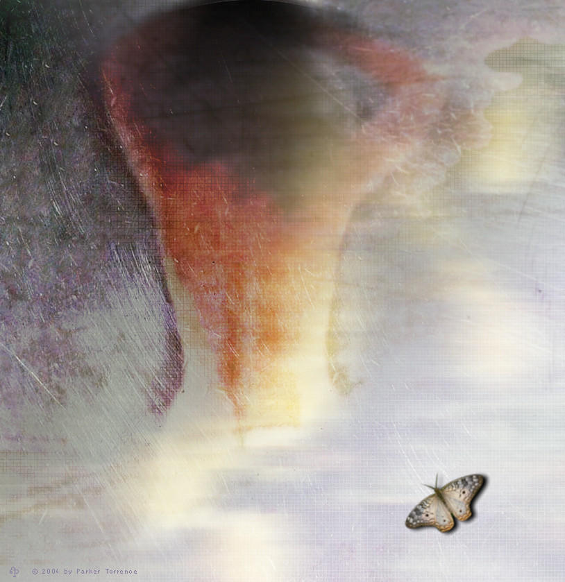 Butterfly Dream by parkerunfolded