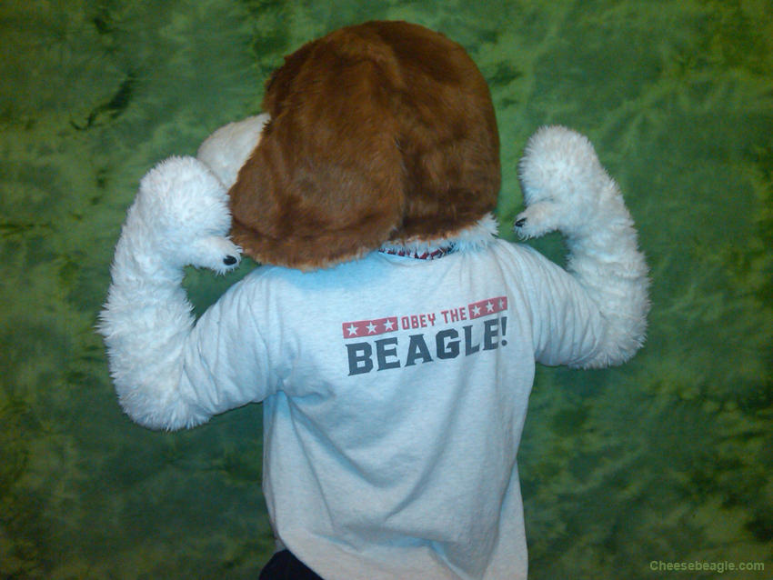 Obey the Beagle 3 by cheesebeagle