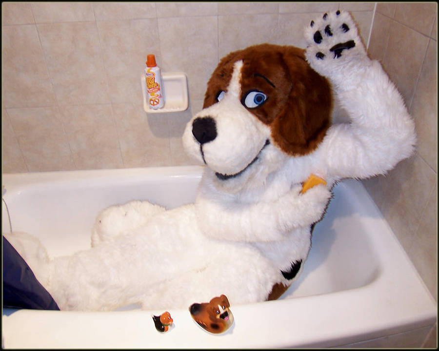 Cheesebeagle in a Tub by cheesebeagle