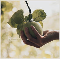 A.P.P.L.E by bittersweetvenom