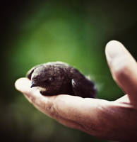 173. :Helping Hand: by bittersweetvenom