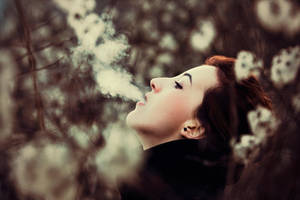 Clowns by bittersweetvenom