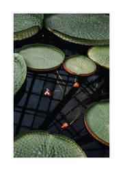 Lines and Circles by bittersweetvenom