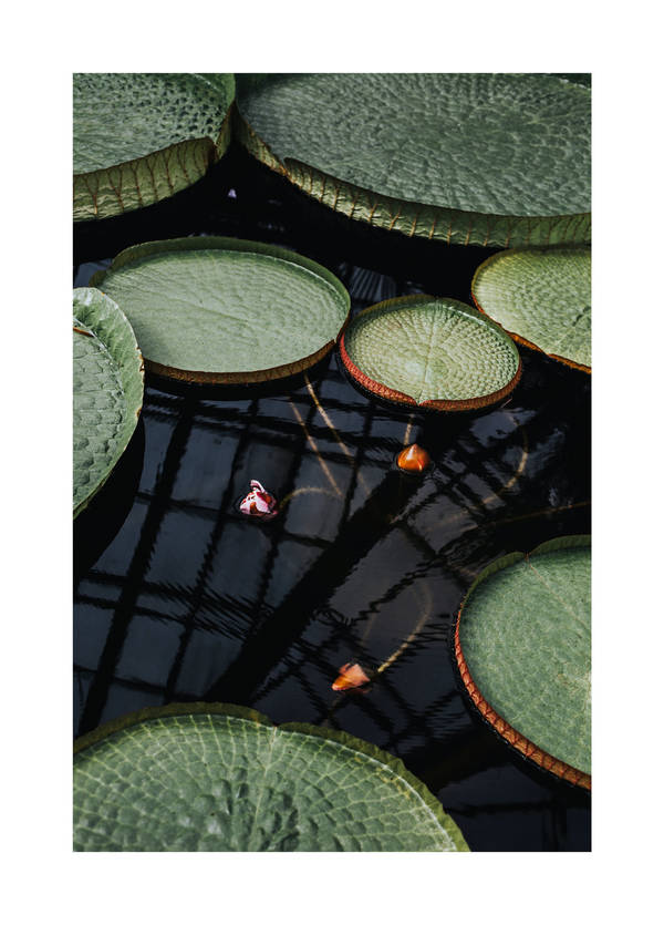 Lines and Circles by bittersweetvenom