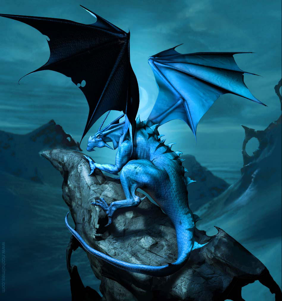 Midnight Dragon by reeks