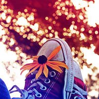 life in technicolor by walruskungfu