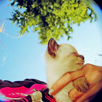 -255- by walruskungfu