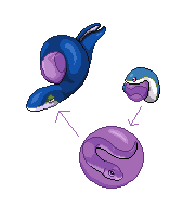 Pokemon-Fakemon Water Starters by FluffyKnight