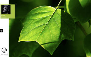 Arch nocturne by Elchacmool on DeviantArt