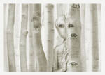 Camouflage by PAtScHWOrK