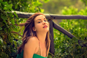 A Life Full Of Surprices by xeneras