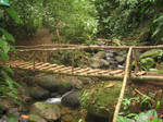 Wooded Bridge in Costa Rica by camias