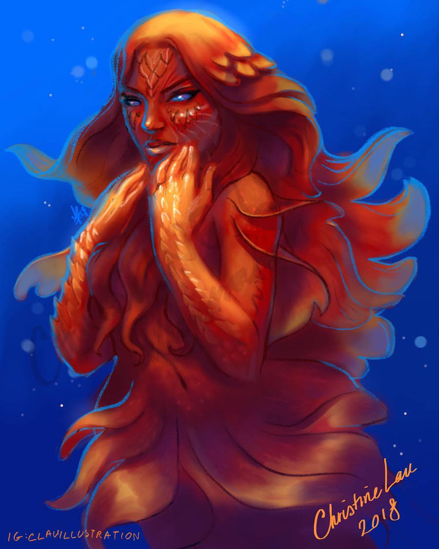 Vampyroteuthis by Asenceana