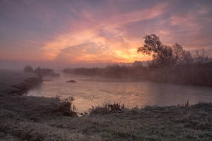 . . . by Alexey-Argentum . . . by Alexey-Argentum