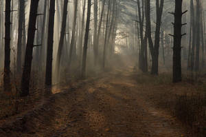 . . . by Alexey-Argentum . . . by Alexey-Argentum
