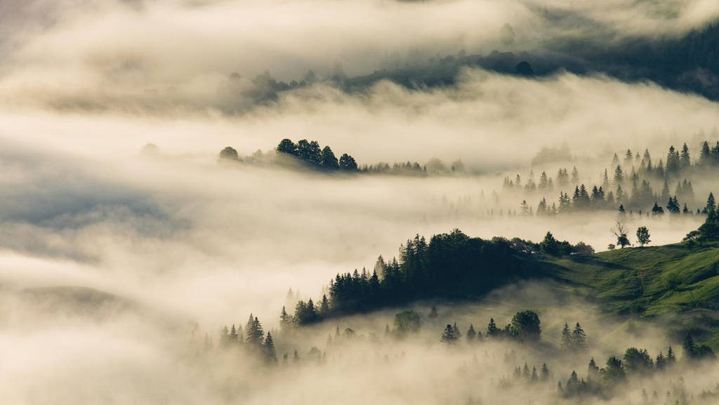 . . . by Alexey-Argentum