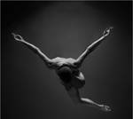 Spread your little wings.... by MichaelPe