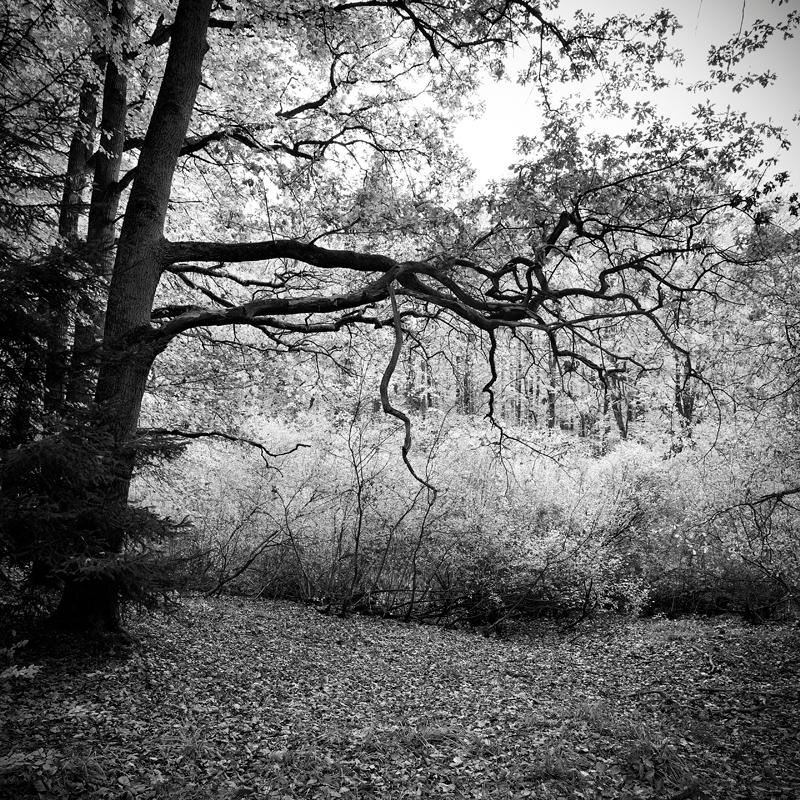 outstretched hands by BelcyrPiotr outstretched hands by BelcyrPiotr