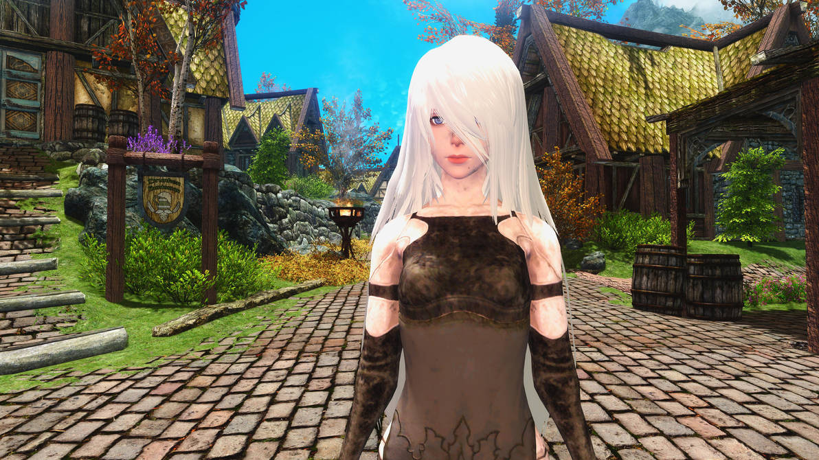 NieR A2 Follower and Armor Skyrim Mod by user619 on DeviantArt