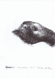 Goose Head - 20102011 by AEnigm4
