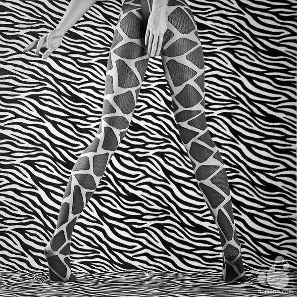 Mimicry II by armene