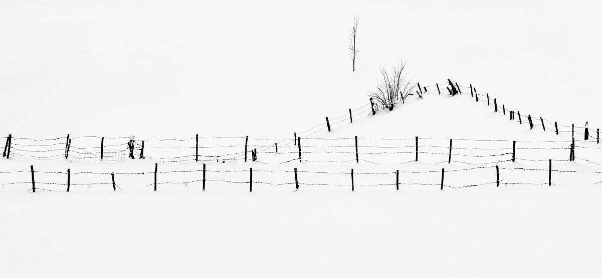 Fence by BranislavFabijanic Fence by BranislavFabijanic