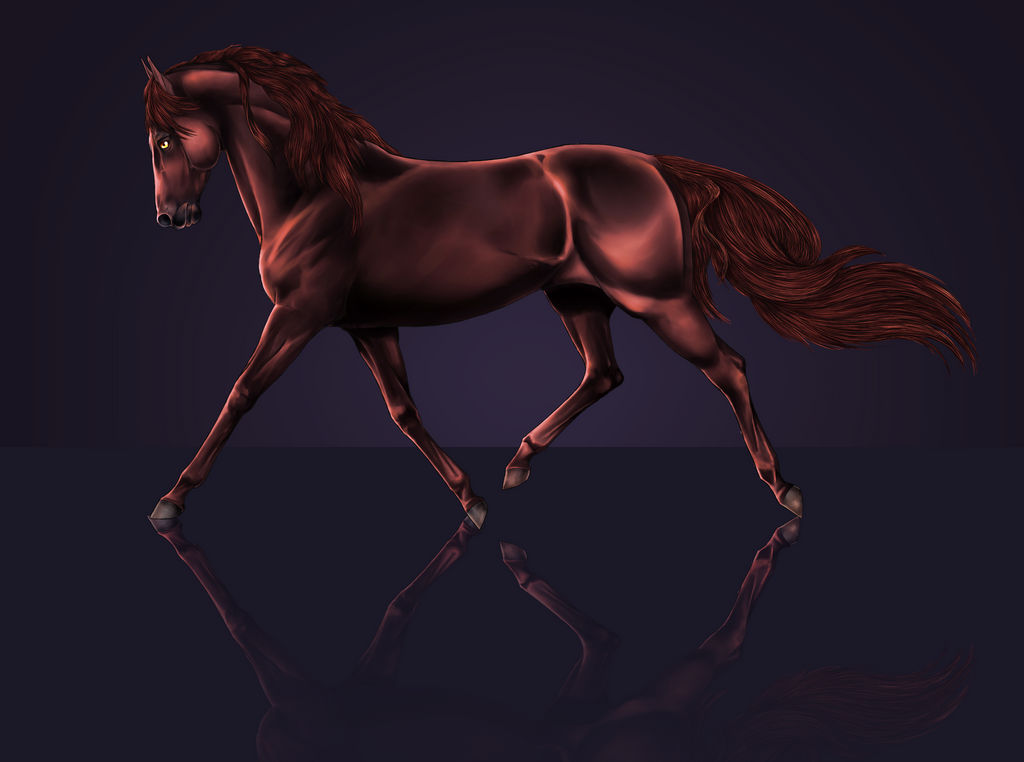 Howrse coat feb trying for Prix by ShishiNoSeirei