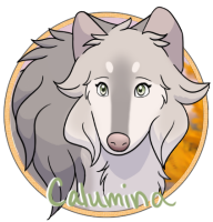 Dotw Calumina Medallion By Xcinderfrostx-dbmy8zn by ShishiNoSeirei Dotw Calumina Medallion By Xcinderfrostx-dbmy8zn by ShishiNoSeirei